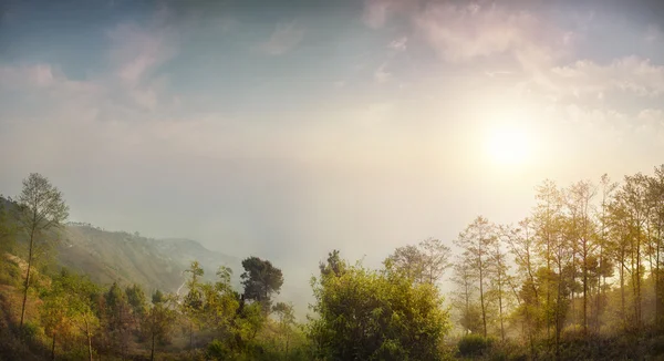 Panorama florestal no Nepal — Fotografia de Stock