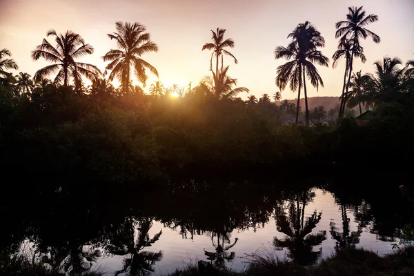 Tropical village in Goa — Stock Photo, Image