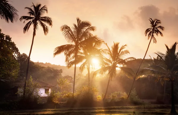 Aldeia tropical em goa — Fotografia de Stock