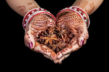 Hint anasonu baharat