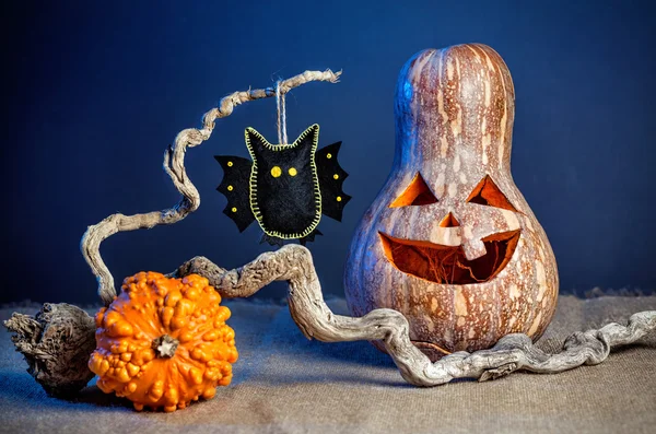 Zucche di Halloween e pipistrello giocattolo — Foto Stock