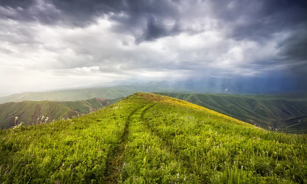 Sommaren bergen i Kazakstan — Stockfoto