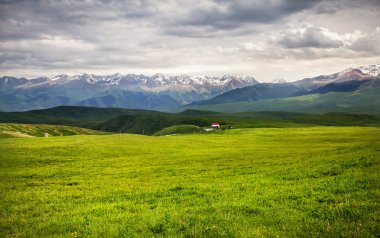 Kazakistan'ın yaz dağ manzarası