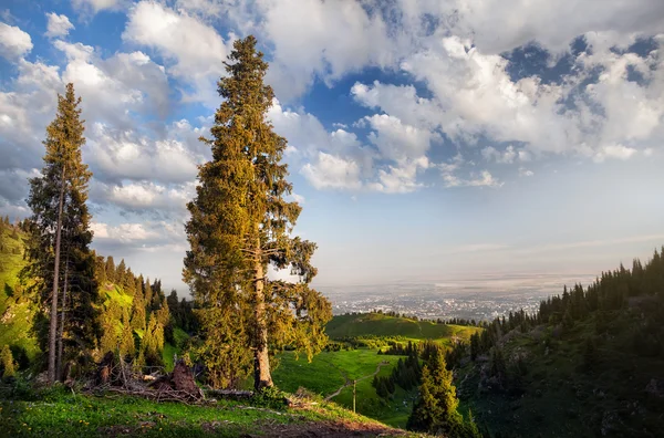 Vue sur la ville dans les montagnes — Photo