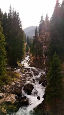 Sonbahar ormanlarında, Almaty şehrinde sonbahar zamanı dağlarda yol kenarındaki sarı ve kırmızı ağaçlardaki nehrin hava aracının dikey görüntüsü.