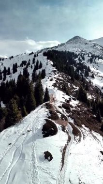 Almaty City, Kazakistan yakınlarındaki bakir beyaz kar ve ormanla kaplı dağ vadisinin dikey hava aracı görüntüsü