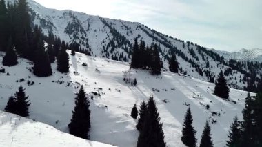 Dağ vadisi manzarasının insansız hava aracı görüntüsü Almaty City, Kazakistan yakınlarındaki bakir beyaz kar ve ladin ağacı ormanlarıyla kaplıydı.
