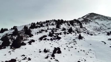 Vadideki Furmanovka Dağı 'nın hava aracı manzarası Almaty City, Kazakistan yakınlarındaki bakir beyaz kar ve ormanla kaplıydı.
