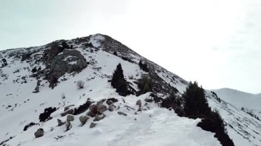 Vadideki Furmanovka Dağı 'nın hava aracı manzarası Almaty City, Kazakistan yakınlarındaki bakir beyaz kar ve ormanla kaplıydı.