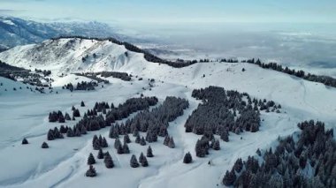 Dağ vadisi manzarasının insansız hava aracı görüntüsü Almaty City, Kazakistan yakınlarındaki bakir beyaz kar ve ladin ağacı ormanlarıyla kaplıydı.