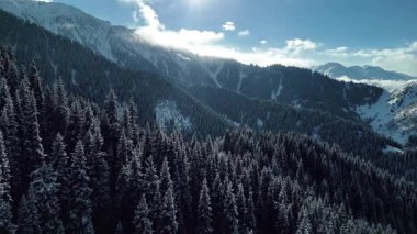 Dağ vadisi manzarasının insansız hava aracı görüntüsü Almaty City, Kazakistan yakınlarındaki bakir beyaz kar ve ladin ağacı ormanlarıyla kaplıydı.