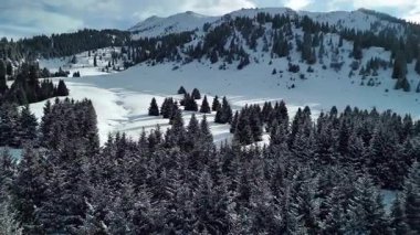 Dağ vadisi manzarasının insansız hava aracı görüntüsü Almaty City, Kazakistan yakınlarındaki bakir beyaz kar ve ladin ağacı ormanlarıyla kaplıydı.