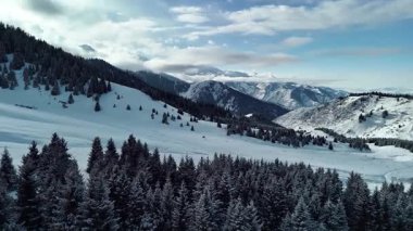 Dağ vadisi manzarasının insansız hava aracı görüntüsü Almaty City, Kazakistan yakınlarındaki bakir beyaz kar ve ladin ağacı ormanlarıyla kaplıydı.