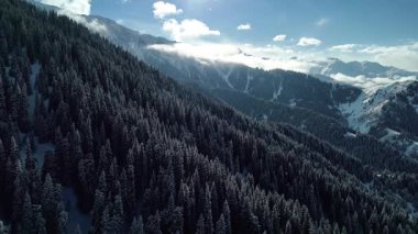 Dağ vadisi manzarasının insansız hava aracı görüntüsü Almaty City, Kazakistan yakınlarındaki bakir beyaz kar ve ladin ağacı ormanlarıyla kaplıydı.