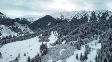 Dağ vadisi manzarasının insansız hava aracı görüntüsü Almaty City, Kazakistan yakınlarındaki bakir beyaz kar ve ladin ağacı ormanlarıyla kaplıydı.
