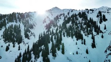 Vadideki Furmanovka Dağı 'nın hava aracı manzarası Almaty City, Kazakistan yakınlarındaki bakir beyaz kar ve ormanla kaplıydı.