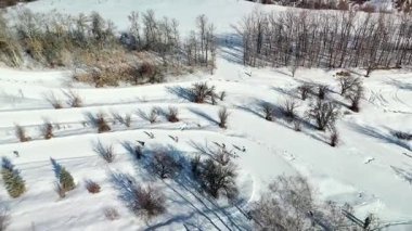 Kazakistan 'ın Almaty Şehri yakınlarındaki beyaz kar ve ormanla dağlık vadideki kayak stadyumunda yapılan büyük kayak yarışının insansız hava aracı görüntüsü.
