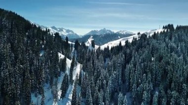 Dağ vadisi manzarasının hava aracı görüntüsü Almaty City, Kazakistan yakınlarındaki bakir beyaz kar ve ormanla kaplıydı.