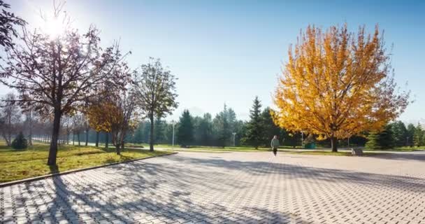 Grande quercia autunnale e nel parco di Almaty — Video Stock