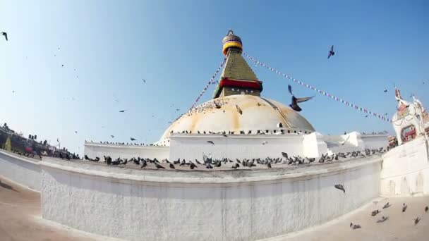 Bodhnath stupa med bön flaggor — Stockvideo