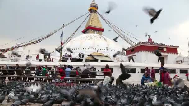 Bodnath stoepa in kathmandu — Stockvideo