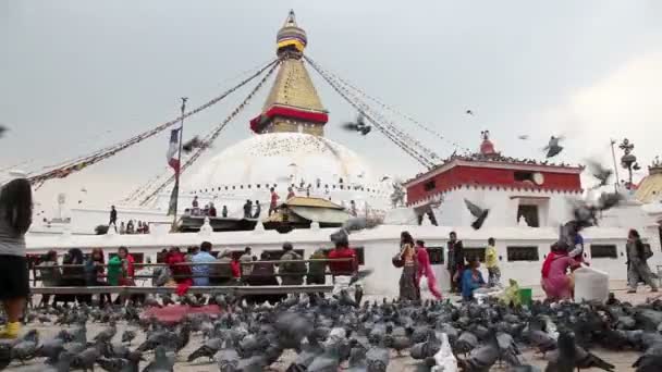 Bodnath stoepa in kathmandu — Stockvideo