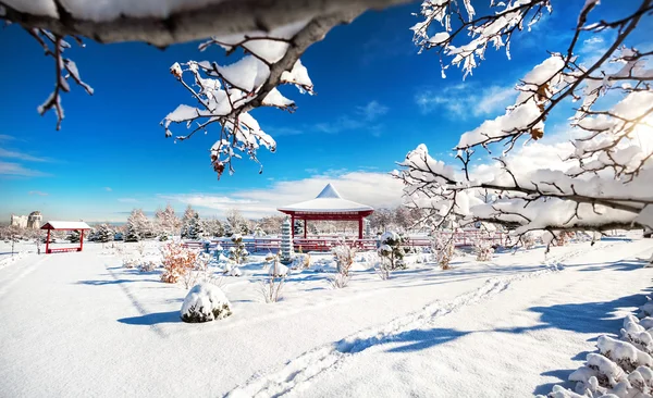 在阿拉木图的冬季日本花园 — 图库照片