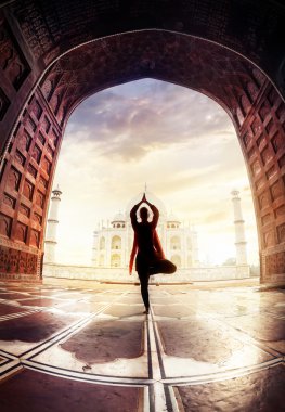 Yoga yakınındaki Taj Mahal 
