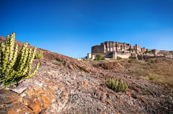 インドの砂漠のメヘラン ガール城塞 — ストック写真