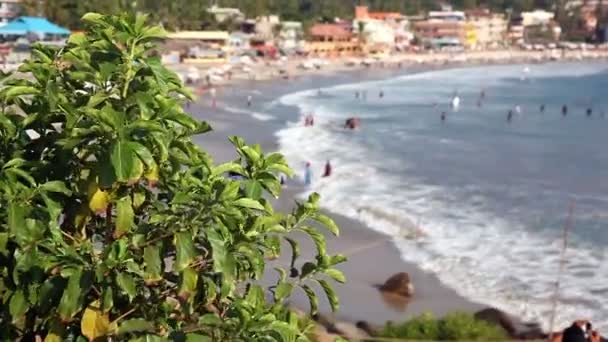 Lagoa de praia tropical na Índia — Vídeo de Stock