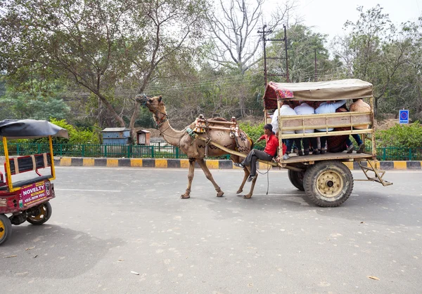 印度泰姬陵根杰地区的街道上 — 图库照片