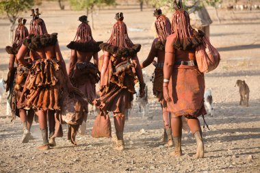 Himba kadınları Opuwo kasaba Namibya, Güney Afrika yakınlarındaki köye geri dön