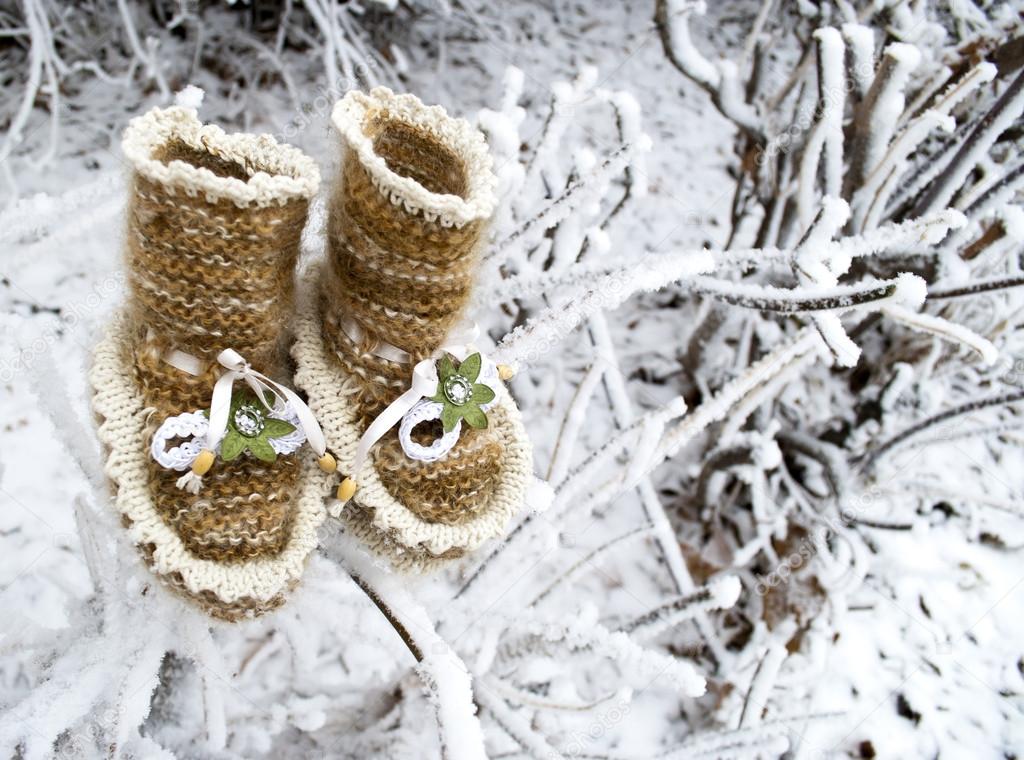 Baby  booties with white trim on the snowy branches