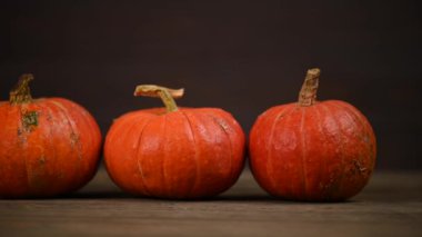 Balkabağı tarlası, birden fazla beden, renkli balkabağı, kaydırma iğnesi. 4K UHD 3840x2160