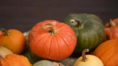 Balkabağı tarlası, birden fazla beden, renkli balkabağı, kaydırma iğnesi. 4K UHD 3840x2160