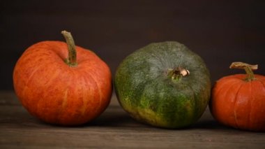 Balkabağı tarlası, birden fazla beden, renkli balkabağı, kaydırma iğnesi. 4K UHD 3840x2160