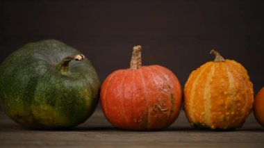 Balkabağı tarlası, birden fazla beden, renkli balkabağı, kaydırma iğnesi. 4K UHD 3840x2160