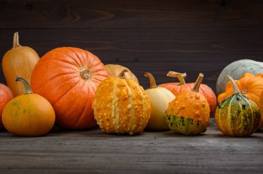 Sonbahar hasadı rengarenk kabaklar ve farklı türde balkabakları. Ahşap arkaplan.