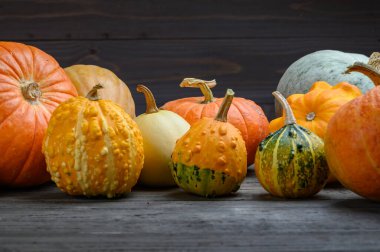 Sonbahar hasadı rengarenk kabaklar ve farklı türde balkabakları. Ahşap arkaplan.