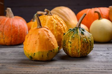 Sonbahar hasadı rengarenk kabaklar ve farklı türde balkabakları. Ahşap arkaplan.