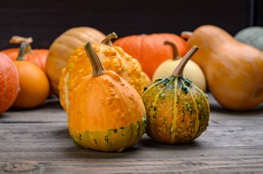 Sonbahar hasadı rengarenk kabaklar ve farklı türde balkabakları. Ahşap arkaplan.