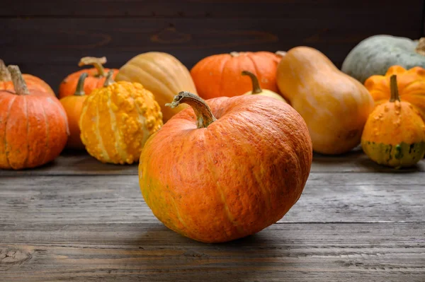 Herfst oogst kleurrijke pompoenen en pompoenen in verschillende variëteiten. Houtachtergrond. — Stockfoto