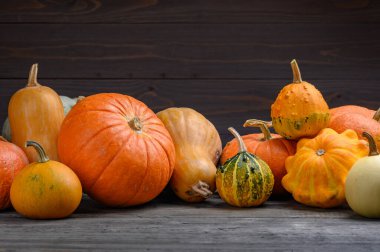 Sonbahar hasadı rengarenk kabaklar ve farklı türde balkabakları. Ahşap arkaplan.