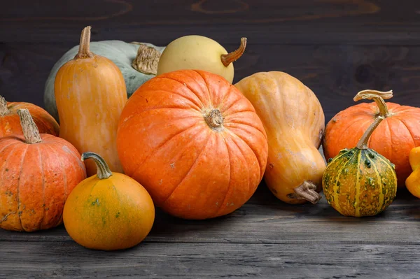 Herfst oogst kleurrijke pompoenen en pompoenen in verschillende variëteiten. Houtachtergrond. — Stockfoto