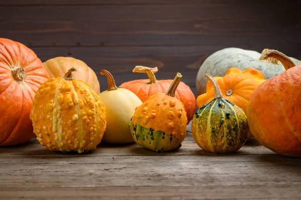 Herfst oogst kleurrijke pompoenen en pompoenen in verschillende variëteiten. Houtachtergrond. — Stockfoto