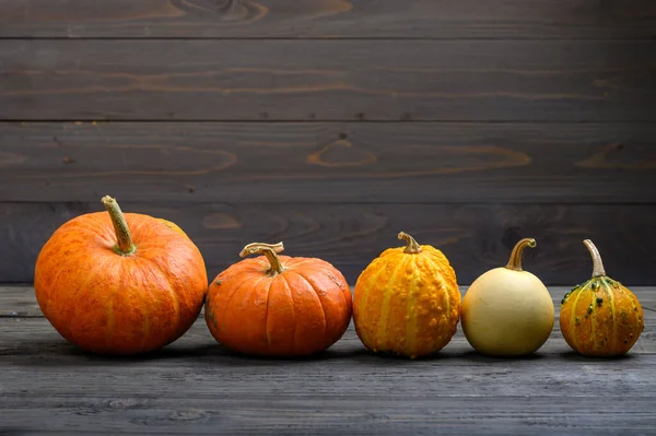 Pumpkins on dark wooden background. Autumn halloween harvesting thanksgiving concept with space for text. Pumpkin composition — Stock Photo, Image