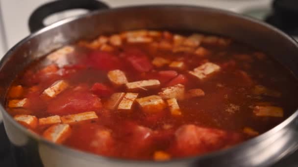Ingredientes para la sopa de ñame de Tom tailandés vegano — Vídeo de stock