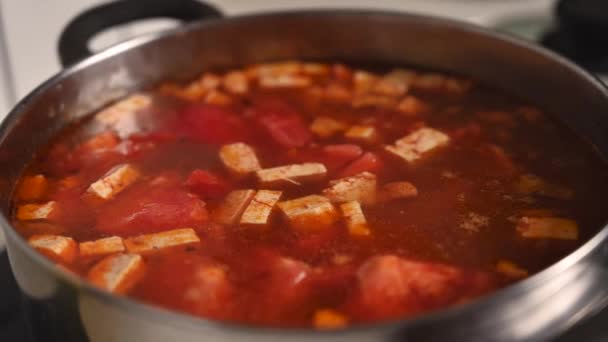 Ingredients for Vegan Thai Tom Yam Soup — Stock Footage Ingredients for Vegan Thai Tom Yam Soup Stock Video