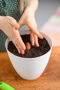 Beyaz tencerelerde çiçek nakleden bir kız.