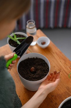 Beyaz tencerelerde çiçek nakleden bir kız.